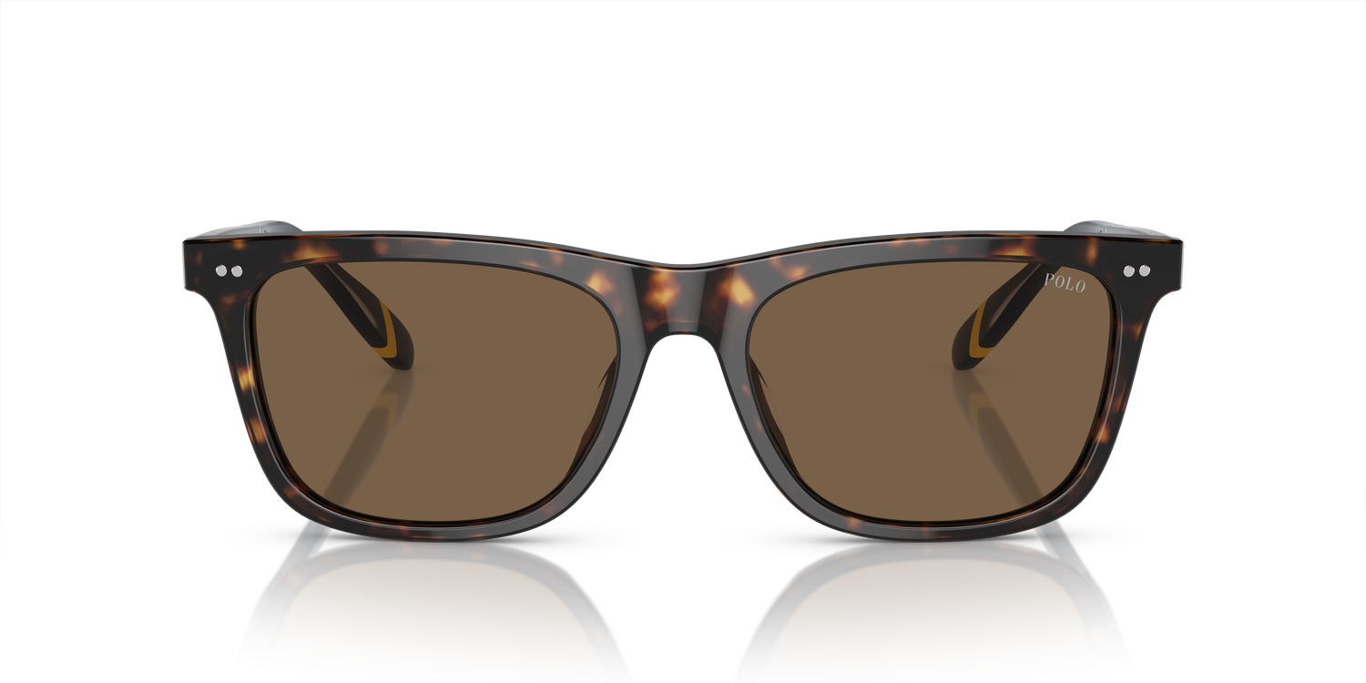 POLO PH4205U 500373 56