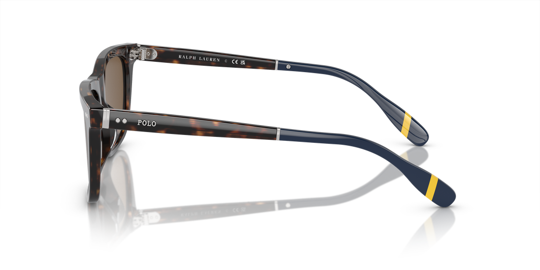 POLO PH4205U 500373 56