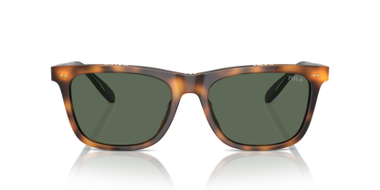 POLO PH4205U 608971 56