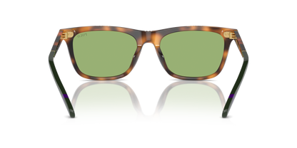 POLO PH4205U 6089/2 56