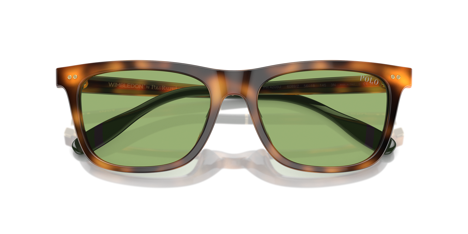 POLO PH4205U 6089/2 56