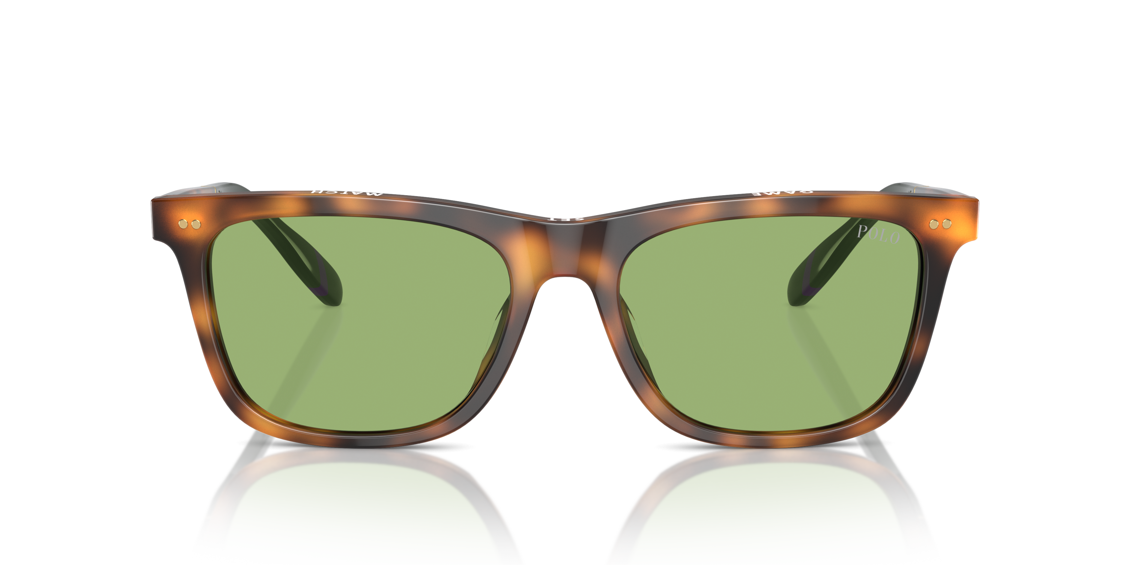 POLO PH4205U 6089/2 56