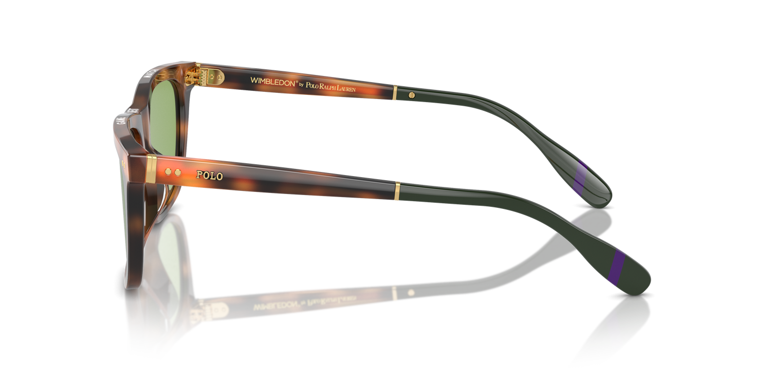 POLO PH4205U 6089/2 56