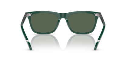 POLO PH4205U 614171 56