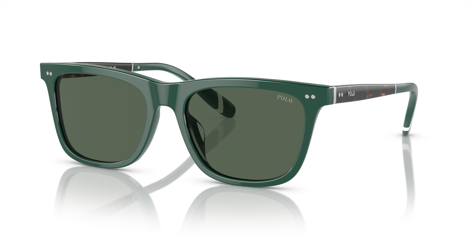 POLO PH4205U 614171 56