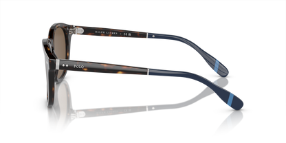 POLO PH4206 500373 52