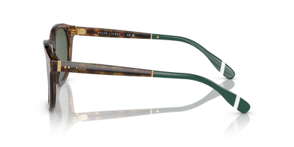 POLO PH4206 501771 52