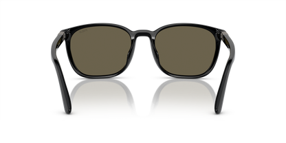 POLO PH4208U 5001/3 55