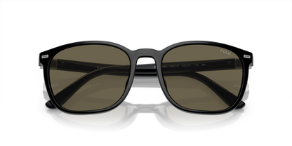 POLO PH4208U 5001/3 55