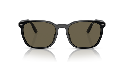 POLO PH4208U 5001/3 55