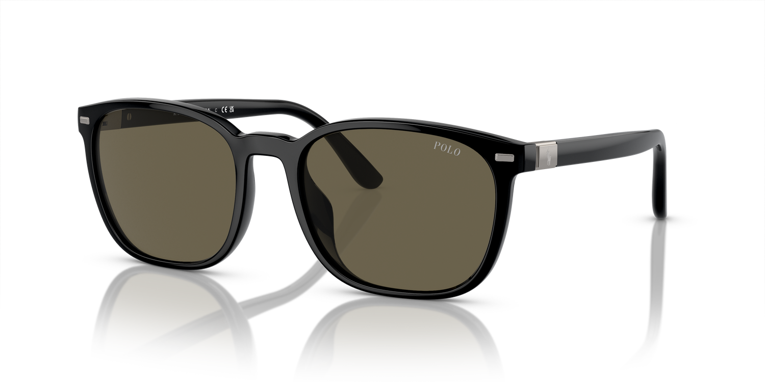 POLO PH4208U 5001/3 55