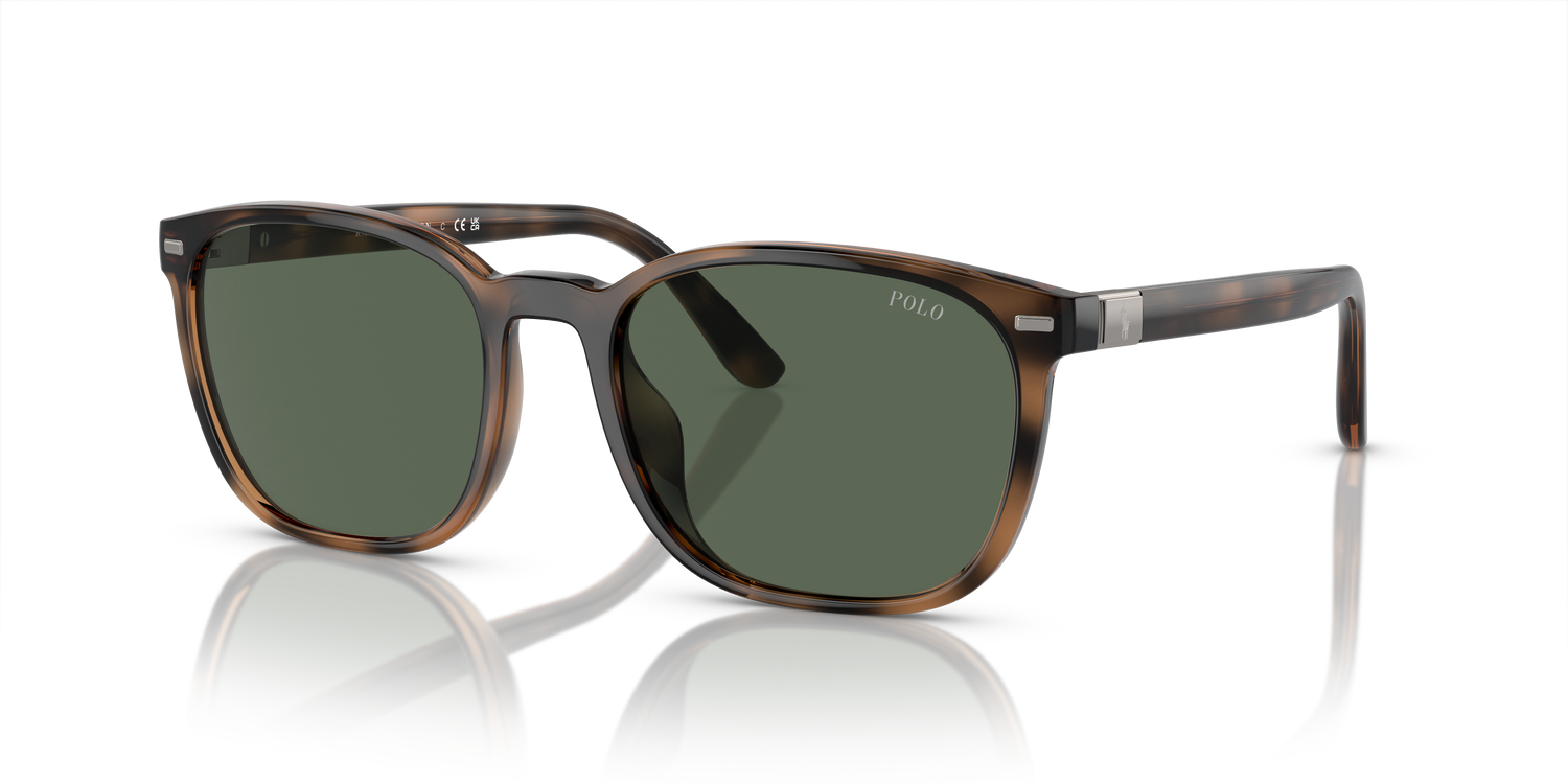 POLO PH4208U 597471 55