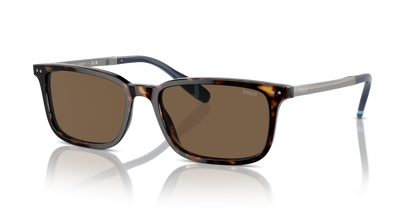 POLO PH4212 500373 55