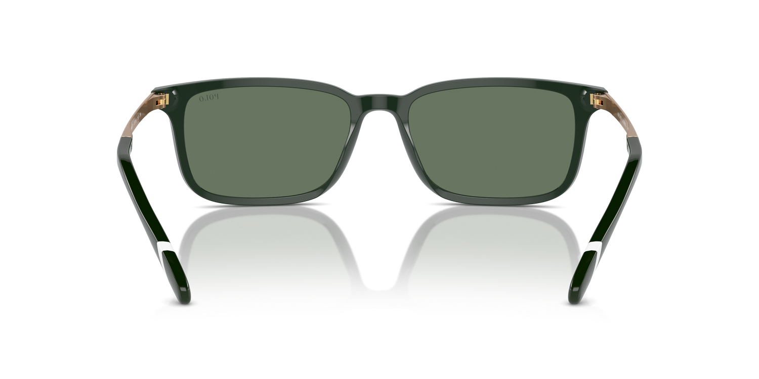 POLO PH4212 614071 55