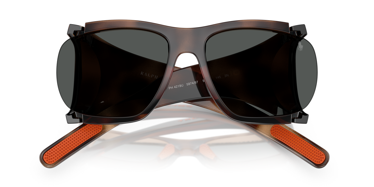 POLO PH4219U 597487 58