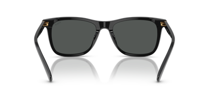 POLO PH4220U 500187 55