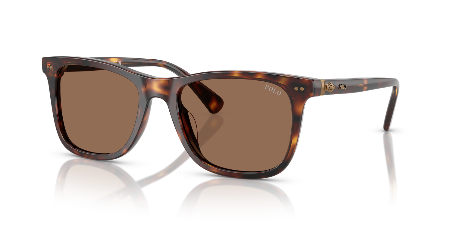 POLO PH4220U 613773 55