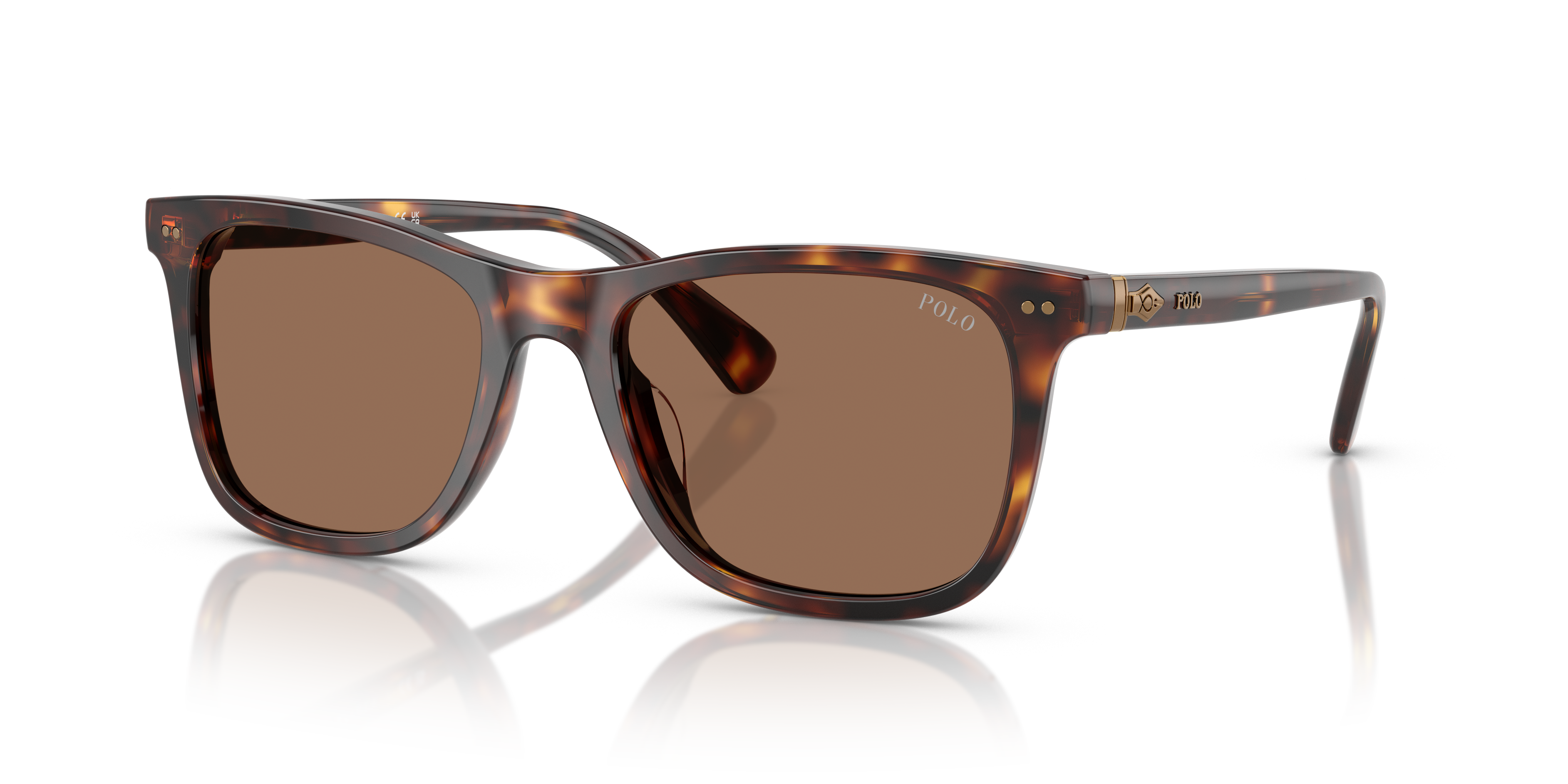 POLO PH4220U 613773 55