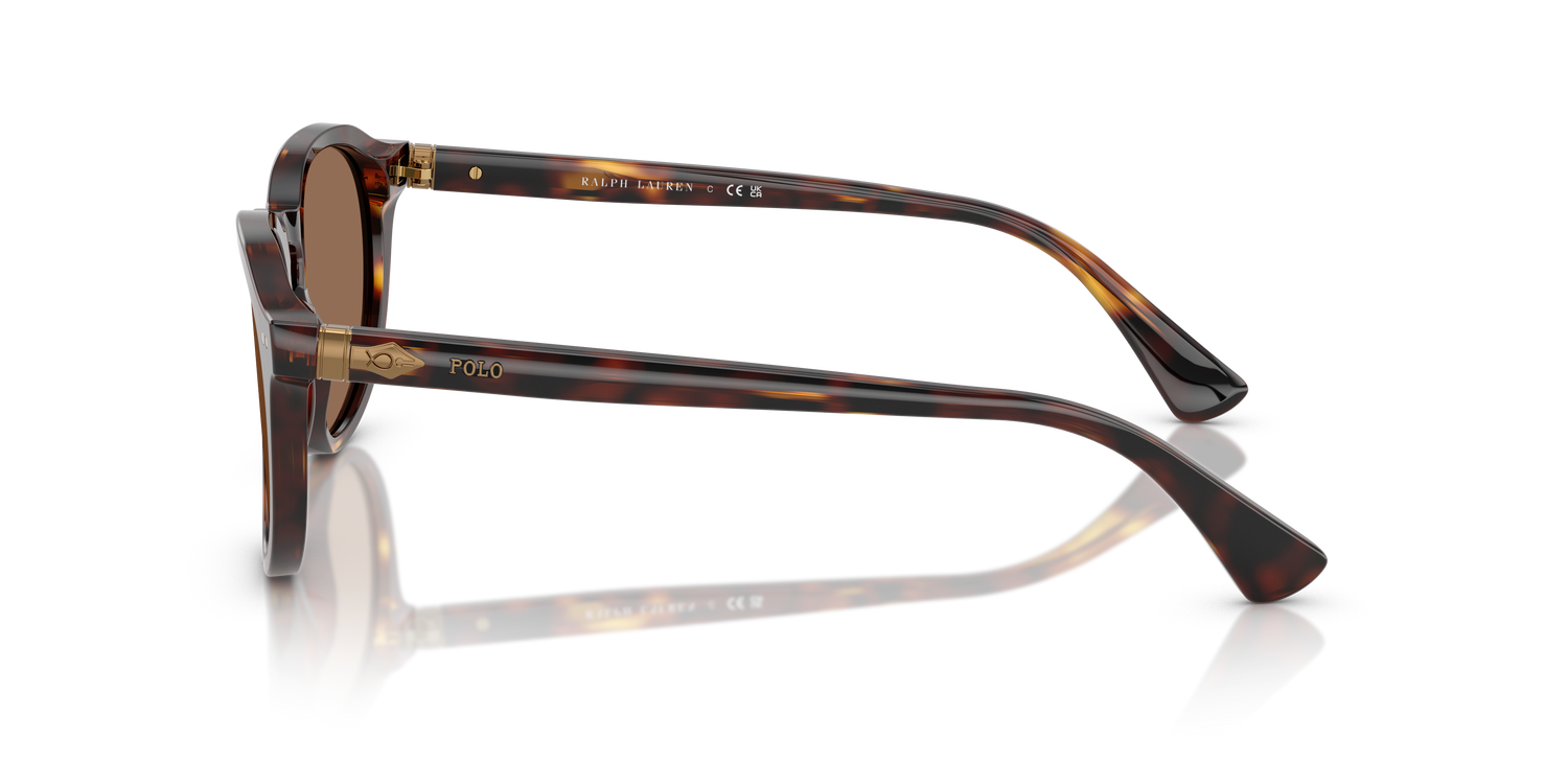 POLO PH4221 613773 52