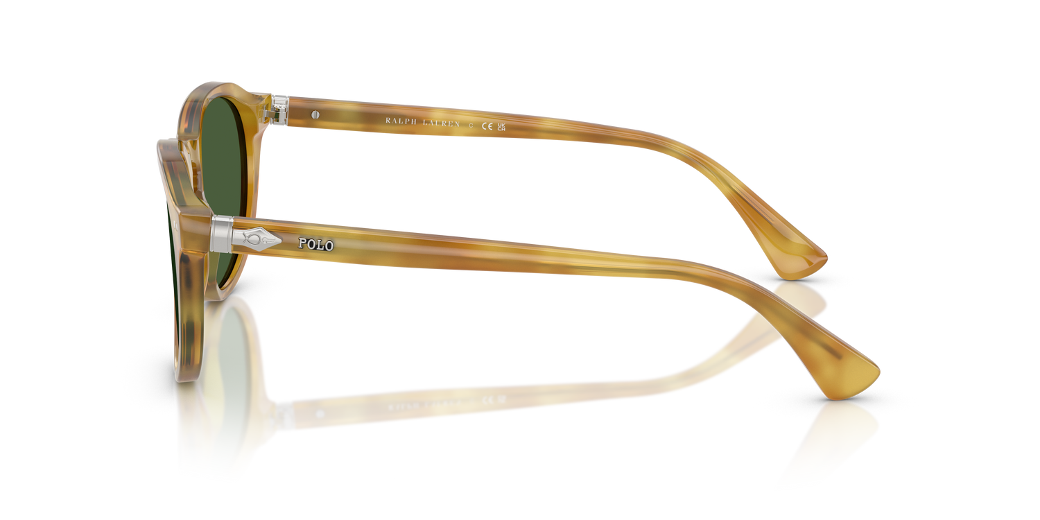 POLO PH4221 618571 52