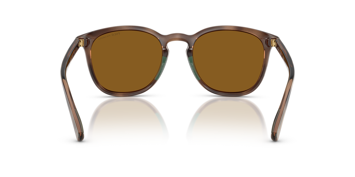 POLO PH4222U 500383 52