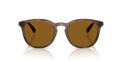 POLO PH4222U 500383 52