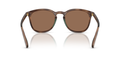 POLO PH4222U 597473 52