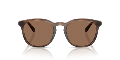 POLO PH4222U 597473 52