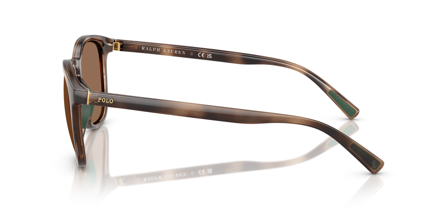 POLO PH4222U 597473 52