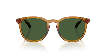 POLO PH4222U 620971 52