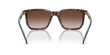 POLO PH4224U 500313 55