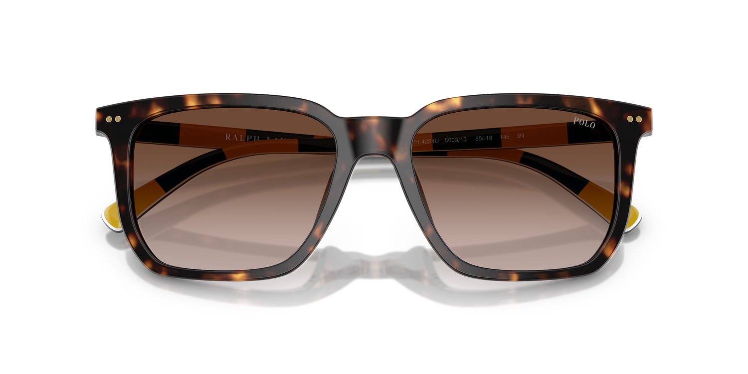 POLO PH4224U 500313 55