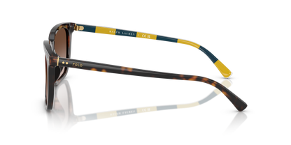 POLO PH4224U 500313 55