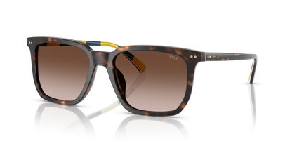 POLO PH4224U 500313 55