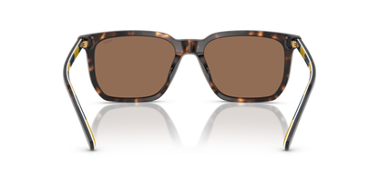 POLO PH4224U 500373 55