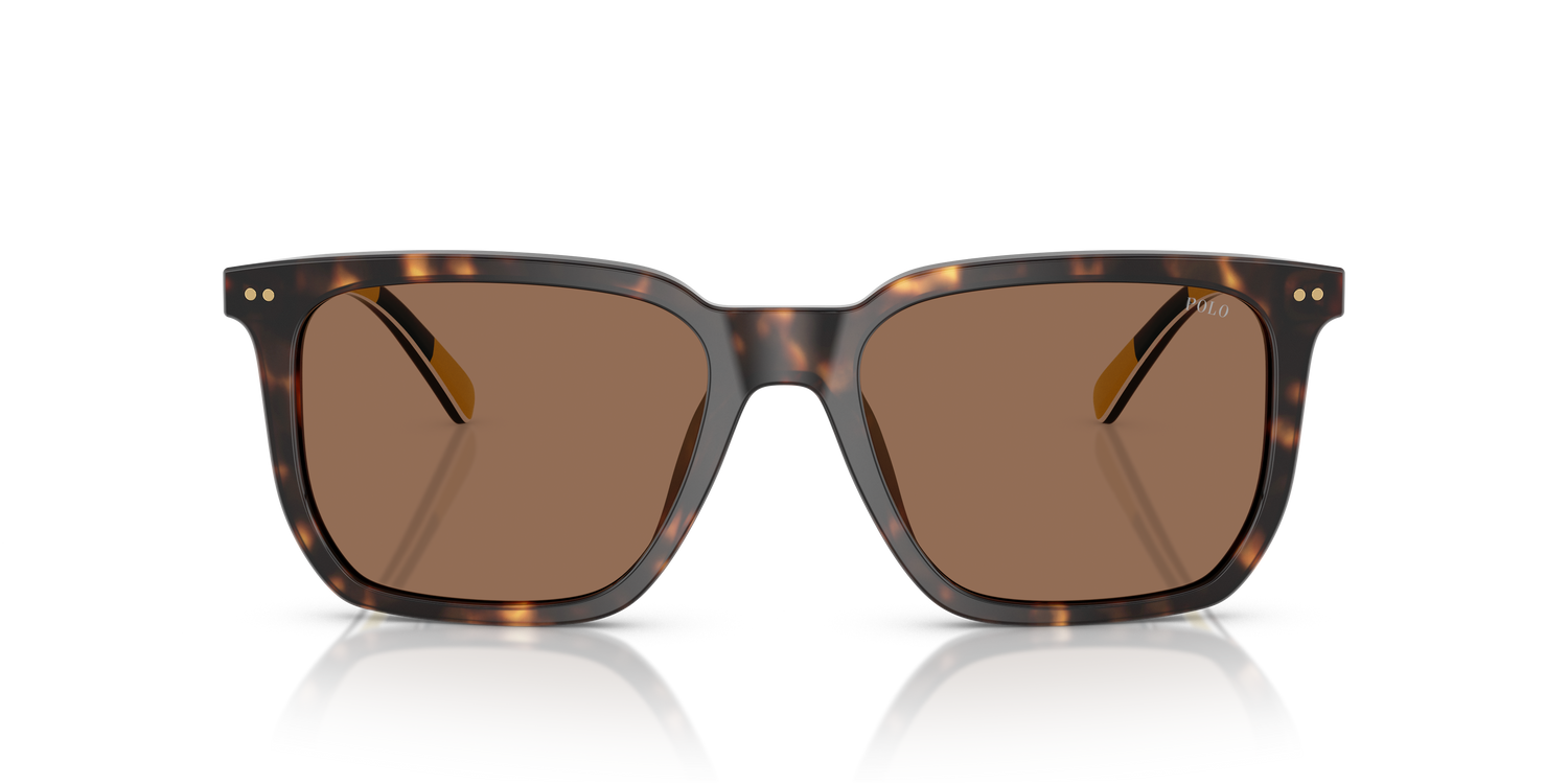 POLO PH4224U 500373 55