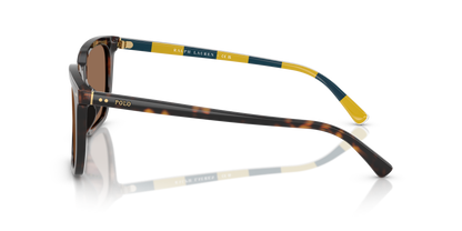 POLO PH4224U 500373 55