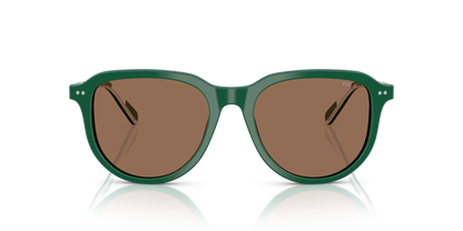 POLO PH4225 542173 53