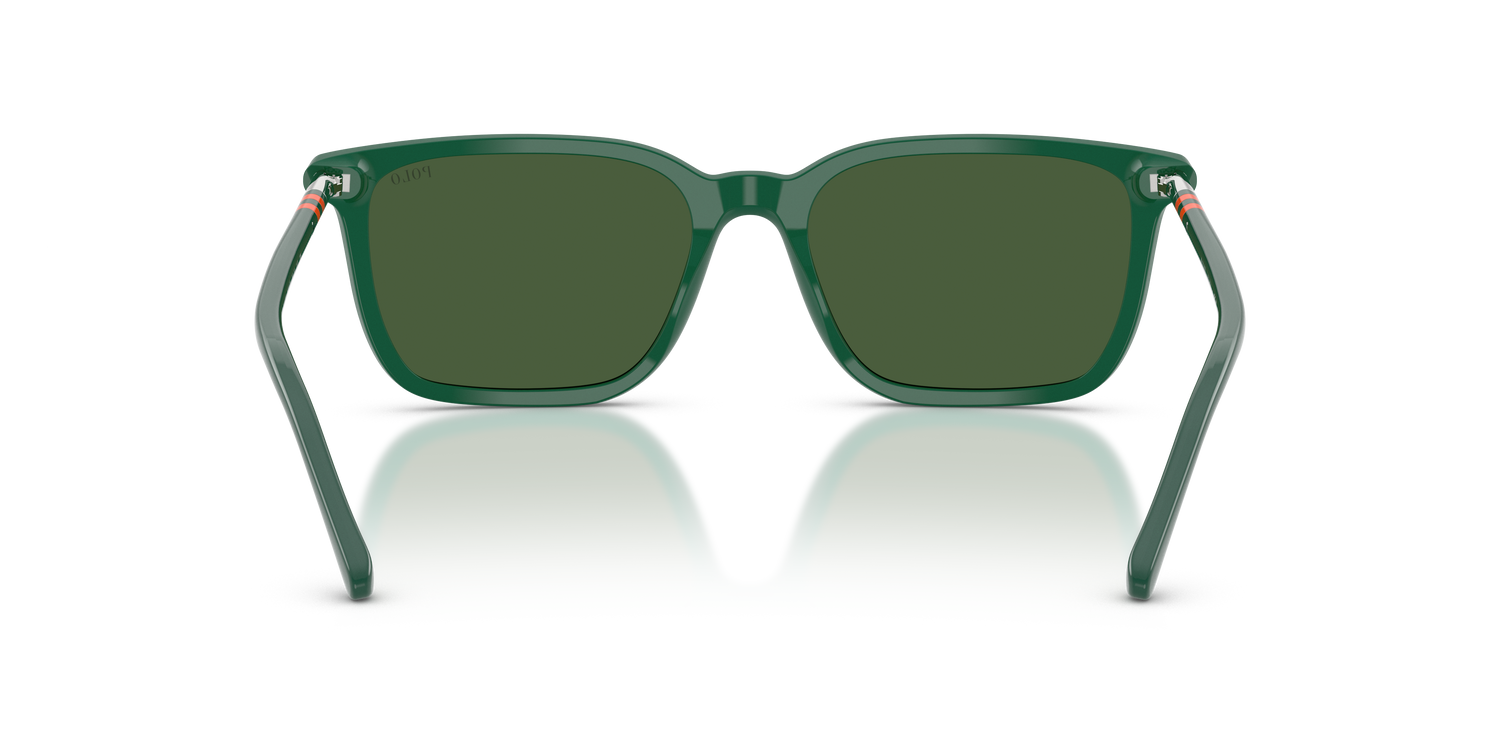 POLO PH4226 542171 56