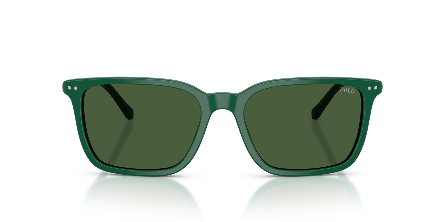 POLO PH4226 542171 56