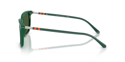 POLO PH4226 542171 56