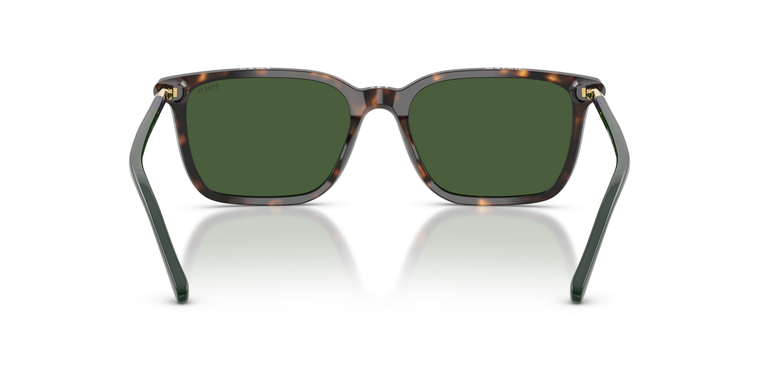 POLO PH4226 567371 56