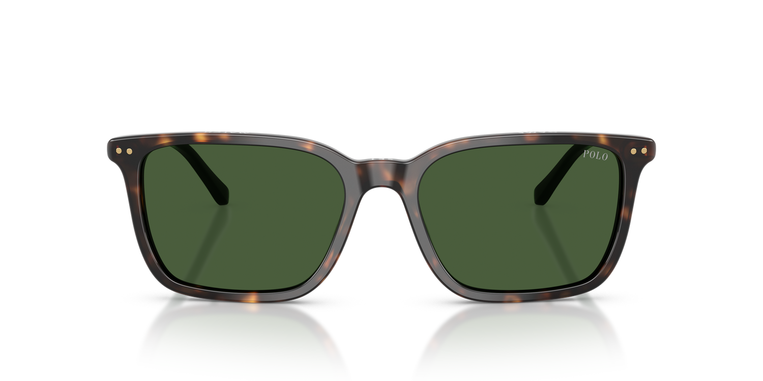 POLO PH4226 567371 56