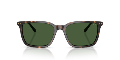 POLO PH4226 567371 56