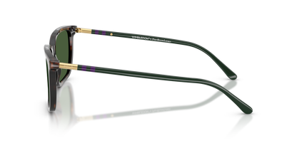 POLO PH4226 567371 56