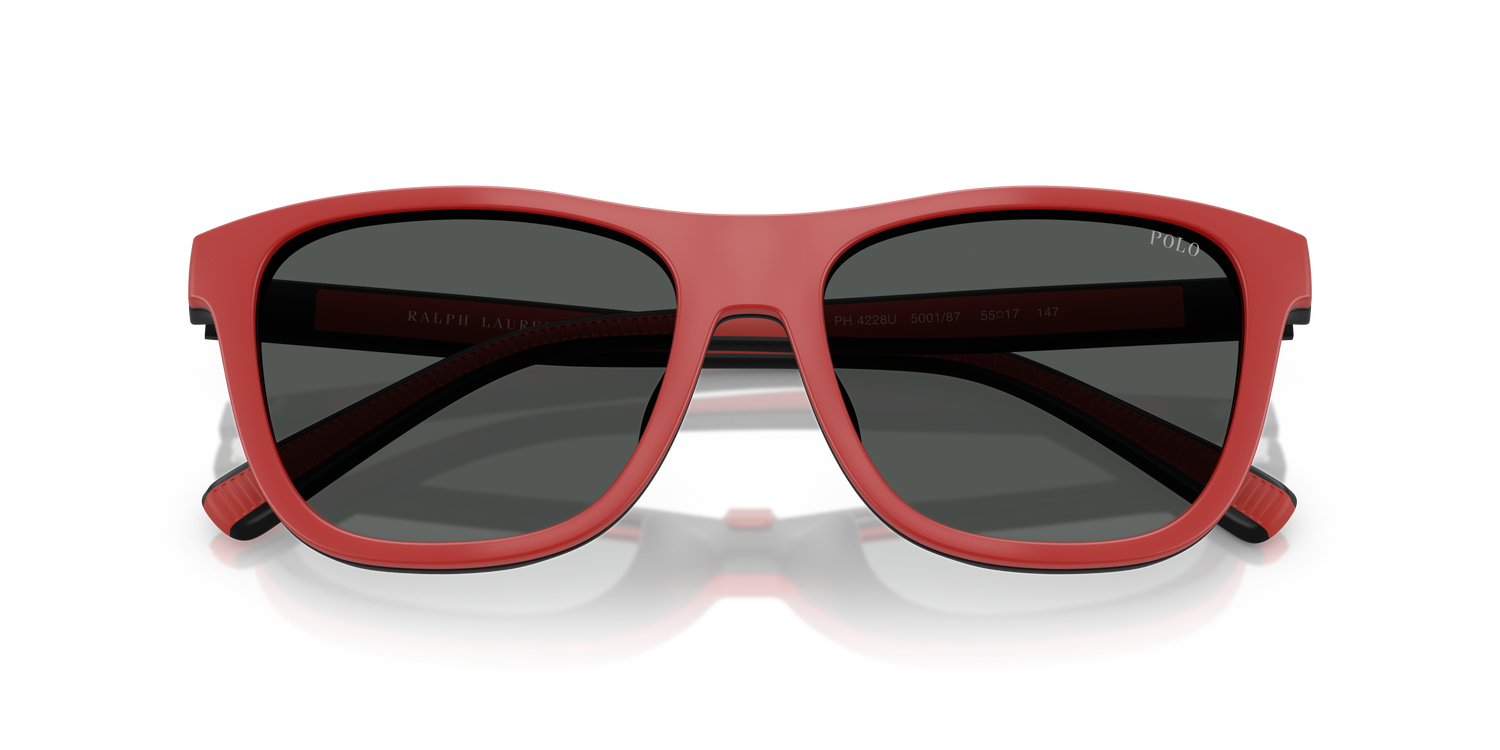 POLO PH4228U 500187 55