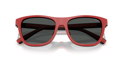 POLO PH4228U 500187 55