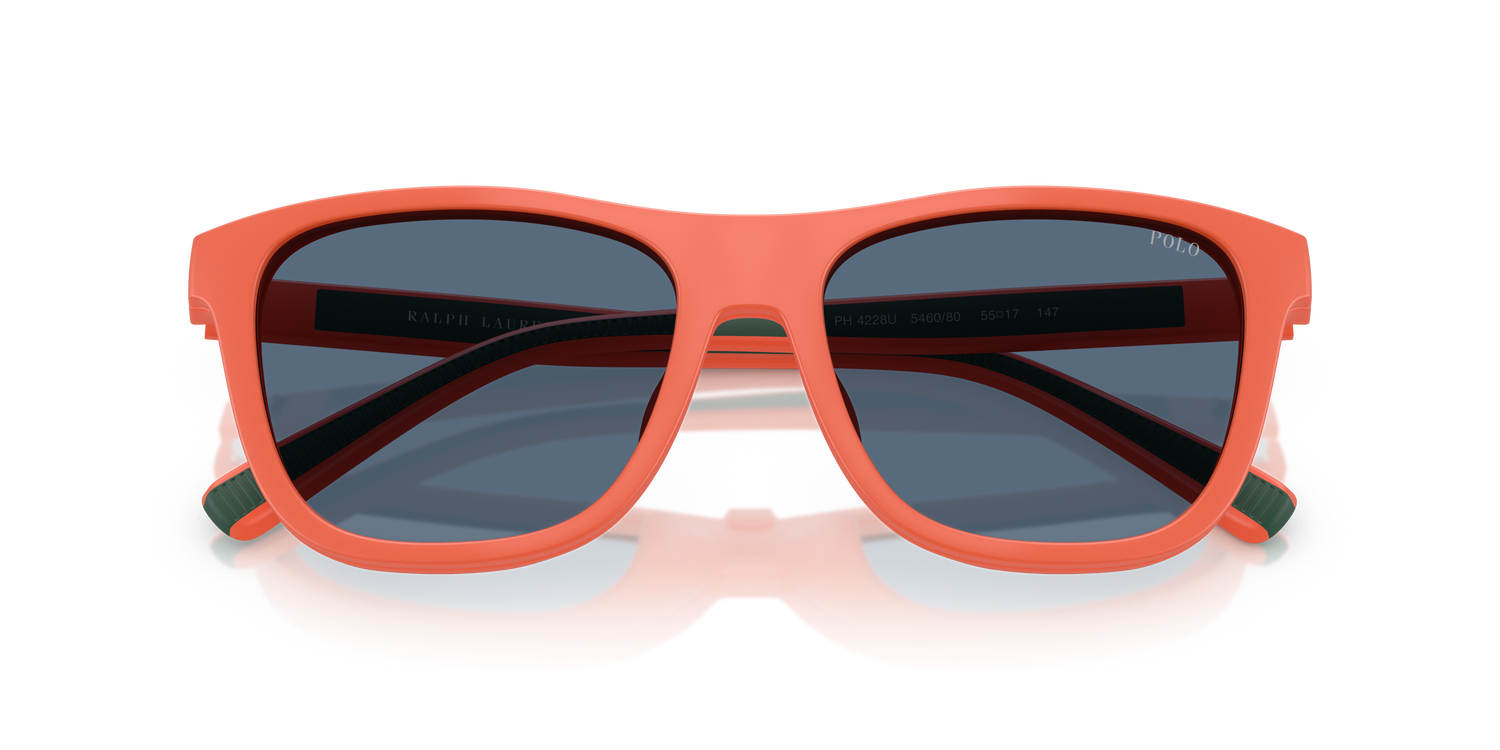 POLO PH4228U 546080 55