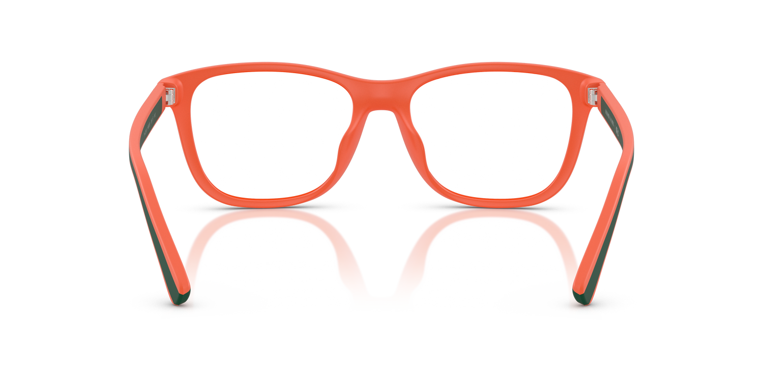 POLO PH4228U 546080 55