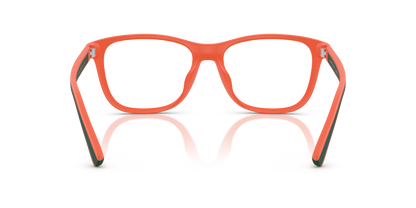 POLO PH4228U 546080 55